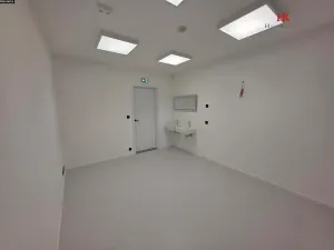 Pronájem komerční nemovitosti, Úhonice, Na Vlečce, 56 m2