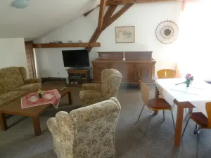 Pronájem bytu 2+1, Rynholec, 120 m2