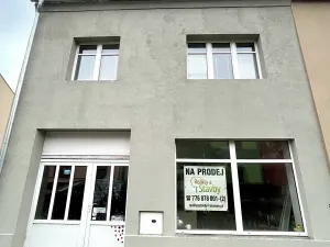 Prodej rodinného domu, Němčice nad Hanou, 190 m2