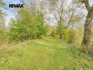 Prodej rybníku, Kožlany, 2200 m2