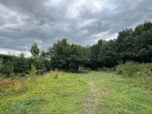 Prodej komerční nemovitosti, Vrbice, 700 m2