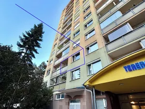 Prodej bytu 2+kk, Praha - Chodov, Tererova, 48 m2