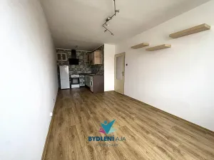 Pronájem bytu 2+kk, Teplice, V závětří, 41 m2
