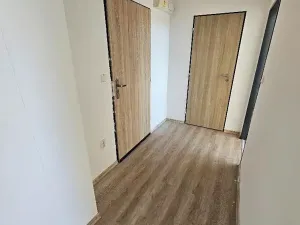 Pronájem bytu 2+kk, Mlékojedy, 50 m2