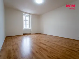 Pronájem bytu 1+1, Plzeň - Jižní Předměstí, Prokopova, 65 m2