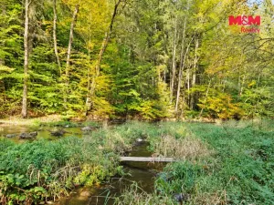 Prodej chaty, České Lhotice - Hradiště, 30 m2