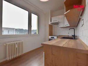 Pronájem bytu 1+1, Hradec Králové - Moravské Předměstí, 35 m2