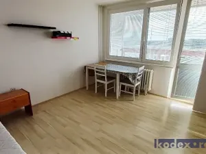 Pronájem bytu 1+kk, Hradec Králové, Třebechovická, 34 m2