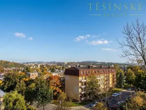 Prodej bytu 1+1, Český Těšín, Hrabinská, 43 m2