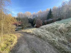 Prodej pozemku, Desná - Desná II, 289 m2