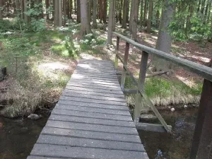 Prodej louky, Velký Šenov - Leopoldka, 3266 m2