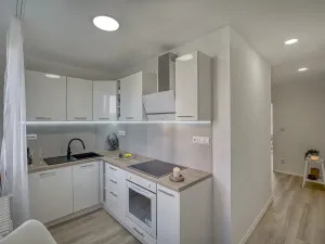Pronájem bytu 2+1, Most, Zdeňka Fibicha, 55 m2