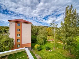 Pronájem bytu 2+1, Most, Zdeňka Fibicha, 55 m2
