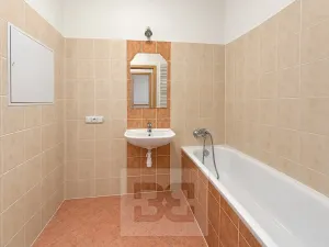 Pronájem bytu 1+kk, Brno, Dusíkova, 40 m2