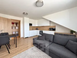 Prodej bytu 2+kk, Brno, Táborská, 66 m2
