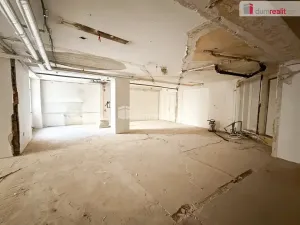 Pronájem obchodního prostoru, Praha - Nové Město, Vodičkova, 800 m2