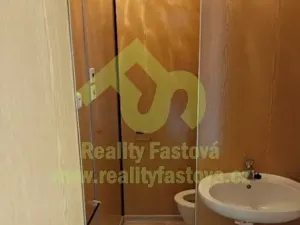 Prodej bytu 1+kk, Horní Bříza, U Vrbky, 23 m2