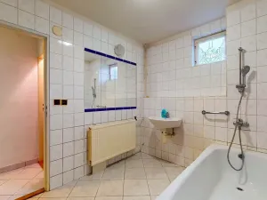 Prodej rodinného domu, Troskotovice, 200 m2