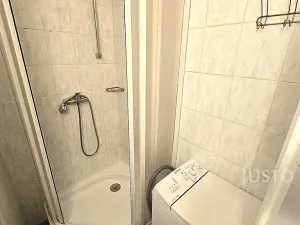 Pronájem bytu 1+kk, Písek, Dr. M. Horákové, 20 m2