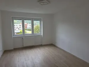 Prodej bytu 2+1, Blansko, Stařeckého, 64 m2