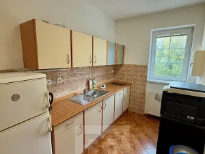 Prodej výrobních prostor, Mladá Boleslav, Ptácká, 1011 m2