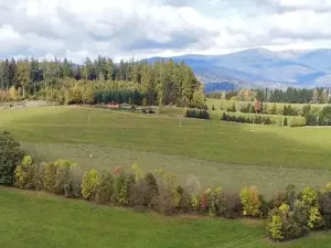 Prodej louky, Benecko, 6999 m2