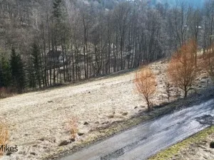 Prodej zahrady, Železný Brod, 369 m2