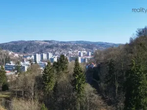 Prodej louky, Železný Brod, 4168 m2