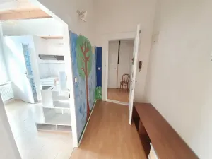 Pronájem bytu 1+1, Praha - Staré Město, U Dobřenských, 45 m2