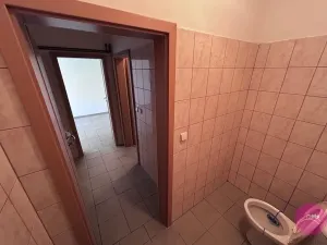Pronájem výrobních prostor, Hlušovice, Okružní, 318 m2