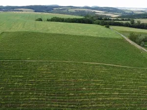 Dražba pole, Ořechov, 2077 m2