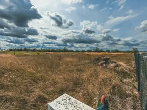 Prodej pozemku pro bydlení, Mikulovice, 647 m2