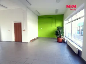Pronájem obchodního prostoru, Ostrava - Mariánské Hory, Přemyslovců, 66 m2