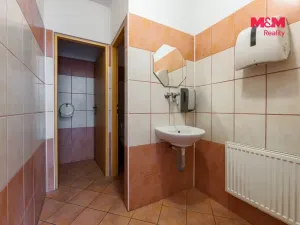 Prodej ubytování, Františkovy Lázně - Horní Lomany, Družstevní, 618 m2