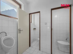 Pronájem výrobních prostor, Hradec Králové - Plotiště nad Labem, Koutníkova, 145 m2