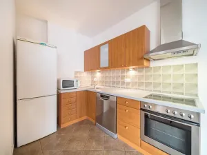 Pronájem atypického bytu, Brno, Tučkova, 80 m2