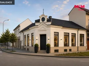 Prodej obchodního prostoru, Prostějov, Kostelecká, 153 m2