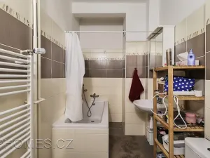 Pronájem bytu 2+1, Praha - Karlín, Thámova, 50 m2