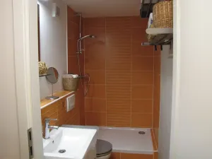 Pronájem bytu 1+kk, Plzeň, Čelakovského, 27 m2