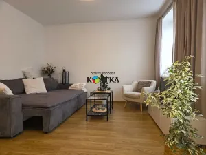 Pronájem bytu 1+1, Nový Jičín, K Nemocnici, 47 m2
