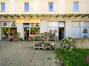 Prodej obchodního prostoru, Olomouc, tř. Míru, 140 m2