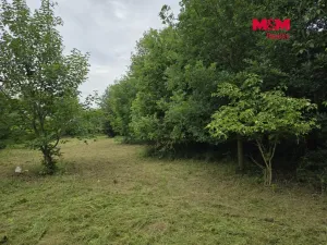 Prodej pozemku pro bydlení, Bor - Boječnice, 1115 m2