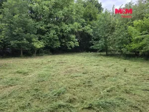 Prodej pozemku pro bydlení, Bor - Boječnice, 1115 m2