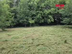 Prodej pozemku pro bydlení, Bor - Boječnice, 1115 m2