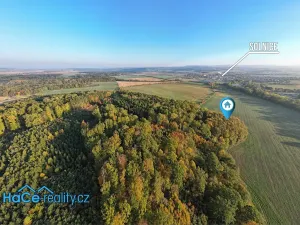 Prodej lesa, Solnice, 5655 m2
