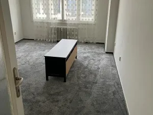 Pronájem bytu 2+kk, Praha - Karlín, Thámova, 46 m2