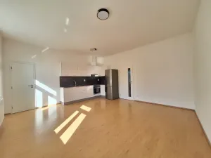 Pronájem bytu 3+kk, Praha - Libeň, Davídkova, 69 m2
