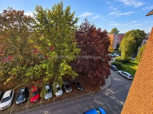 Prodej bytu 2+1, Přerov, Interbrigadistů, 50 m2