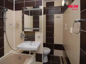 Prodej bytu 1+1, Frýdek-Místek - Frýdek, Bruzovská, 37 m2