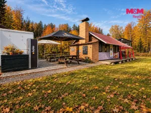 Prodej komerčního pozemku, Krucemburk - Staré Ransko, 21872 m2